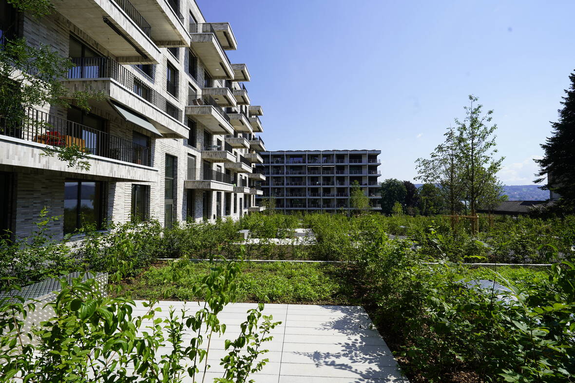 AuPark Wädenswil - Aussenansicht | © NeoVac